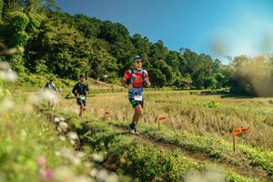 BIB: 
                            <button type="button" onclick="openModal(26689120)" class="btn btn-primary btn-sm float-right btn-popup" data-toggle="modal" data-target=".modal-high-quality">
                        <i class="fas fa-shopping-cart"></i> Add to Cart
                    </button>
                                            <button type="button" onclick="isThisMe(26689120, true)" class="btn btn-success btn-sm float-right btn-popup btn-isme hidden" data-toggle="tooltip" data-placement="bottom" title="นี่คือรูปของคุณใช่ไหม คลิกที่นี่เพื่อเอาเข้าอัลบั้ม">
                        <i class="fas fa-plus"></i> Add to album
                    </button>
                    <button type="button" onclick="isThisMe(26689120, false)" class="btn btn-warning btn-sm float-right btn-popup btn-isnotme hidden">
                        <i class="fas fa-ban"></i> Remove from album
                    </button>