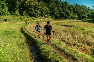 BIB: 
                            <button type="button" onclick="openModal(26692529)" class="btn btn-primary btn-sm float-right btn-popup" data-toggle="modal" data-target=".modal-high-quality">
                        <i class="fas fa-shopping-cart"></i> Add to Cart
                    </button>
                                            <button type="button" onclick="isThisMe(26692529, true)" class="btn btn-success btn-sm float-right btn-popup btn-isme hidden" data-toggle="tooltip" data-placement="bottom" title="นี่คือรูปของคุณใช่ไหม คลิกที่นี่เพื่อเอาเข้าอัลบั้ม">
                        <i class="fas fa-plus"></i> Add to album
                    </button>
                    <button type="button" onclick="isThisMe(26692529, false)" class="btn btn-warning btn-sm float-right btn-popup btn-isnotme hidden">
                        <i class="fas fa-ban"></i> Remove from album
                    </button>