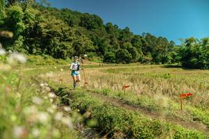 BIB: 
                            <button type="button" onclick="openModal(26731917)" class="btn btn-primary btn-sm float-right btn-popup" data-toggle="modal" data-target=".modal-high-quality">
                        <i class="fas fa-shopping-cart"></i> Add to Cart
                    </button>
                                            <button type="button" onclick="isThisMe(26731917, true)" class="btn btn-success btn-sm float-right btn-popup btn-isme hidden" data-toggle="tooltip" data-placement="bottom" title="นี่คือรูปของคุณใช่ไหม คลิกที่นี่เพื่อเอาเข้าอัลบั้ม">
                        <i class="fas fa-plus"></i> Add to album
                    </button>
                    <button type="button" onclick="isThisMe(26731917, false)" class="btn btn-warning btn-sm float-right btn-popup btn-isnotme hidden">
                        <i class="fas fa-ban"></i> Remove from album
                    </button>