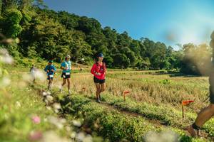 BIB: 
                            <button type="button" onclick="openModal(26638781)" class="btn btn-primary btn-sm float-right btn-popup" data-toggle="modal" data-target=".modal-high-quality">
                        <i class="fas fa-shopping-cart"></i> Add to Cart
                    </button>
                                            <button type="button" onclick="isThisMe(26638781, true)" class="btn btn-success btn-sm float-right btn-popup btn-isme hidden" data-toggle="tooltip" data-placement="bottom" title="นี่คือรูปของคุณใช่ไหม คลิกที่นี่เพื่อเอาเข้าอัลบั้ม">
                        <i class="fas fa-plus"></i> Add to album
                    </button>
                    <button type="button" onclick="isThisMe(26638781, false)" class="btn btn-warning btn-sm float-right btn-popup btn-isnotme hidden">
                        <i class="fas fa-ban"></i> Remove from album
                    </button>