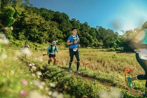 BIB: 
                            <button type="button" onclick="openModal(26638881)" class="btn btn-primary btn-sm float-right btn-popup" data-toggle="modal" data-target=".modal-high-quality">
                        <i class="fas fa-shopping-cart"></i> Add to Cart
                    </button>
                                            <button type="button" onclick="isThisMe(26638881, true)" class="btn btn-success btn-sm float-right btn-popup btn-isme hidden" data-toggle="tooltip" data-placement="bottom" title="นี่คือรูปของคุณใช่ไหม คลิกที่นี่เพื่อเอาเข้าอัลบั้ม">
                        <i class="fas fa-plus"></i> Add to album
                    </button>
                    <button type="button" onclick="isThisMe(26638881, false)" class="btn btn-warning btn-sm float-right btn-popup btn-isnotme hidden">
                        <i class="fas fa-ban"></i> Remove from album
                    </button>