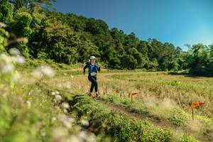 BIB: 
                            <button type="button" onclick="openModal(26708260)" class="btn btn-primary btn-sm float-right btn-popup" data-toggle="modal" data-target=".modal-high-quality">
                        <i class="fas fa-shopping-cart"></i> Add to Cart
                    </button>
                                            <button type="button" onclick="isThisMe(26708260, true)" class="btn btn-success btn-sm float-right btn-popup btn-isme hidden" data-toggle="tooltip" data-placement="bottom" title="นี่คือรูปของคุณใช่ไหม คลิกที่นี่เพื่อเอาเข้าอัลบั้ม">
                        <i class="fas fa-plus"></i> Add to album
                    </button>
                    <button type="button" onclick="isThisMe(26708260, false)" class="btn btn-warning btn-sm float-right btn-popup btn-isnotme hidden">
                        <i class="fas fa-ban"></i> Remove from album
                    </button>