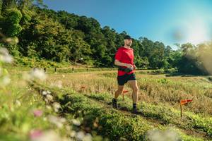 BIB: 
                            <button type="button" onclick="openModal(26637536)" class="btn btn-primary btn-sm float-right btn-popup" data-toggle="modal" data-target=".modal-high-quality">
                        <i class="fas fa-shopping-cart"></i> Add to Cart
                    </button>
                                            <button type="button" onclick="isThisMe(26637536, true)" class="btn btn-success btn-sm float-right btn-popup btn-isme hidden" data-toggle="tooltip" data-placement="bottom" title="นี่คือรูปของคุณใช่ไหม คลิกที่นี่เพื่อเอาเข้าอัลบั้ม">
                        <i class="fas fa-plus"></i> Add to album
                    </button>
                    <button type="button" onclick="isThisMe(26637536, false)" class="btn btn-warning btn-sm float-right btn-popup btn-isnotme hidden">
                        <i class="fas fa-ban"></i> Remove from album
                    </button>