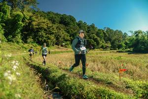 BIB: 
                            <button type="button" onclick="openModal(26694486)" class="btn btn-primary btn-sm float-right btn-popup" data-toggle="modal" data-target=".modal-high-quality">
                        <i class="fas fa-shopping-cart"></i> Add to Cart
                    </button>
                                            <button type="button" onclick="isThisMe(26694486, true)" class="btn btn-success btn-sm float-right btn-popup btn-isme hidden" data-toggle="tooltip" data-placement="bottom" title="นี่คือรูปของคุณใช่ไหม คลิกที่นี่เพื่อเอาเข้าอัลบั้ม">
                        <i class="fas fa-plus"></i> Add to album
                    </button>
                    <button type="button" onclick="isThisMe(26694486, false)" class="btn btn-warning btn-sm float-right btn-popup btn-isnotme hidden">
                        <i class="fas fa-ban"></i> Remove from album
                    </button>