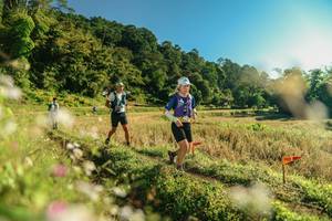 BIB: 
                            <button type="button" onclick="openModal(26636602)" class="btn btn-primary btn-sm float-right btn-popup" data-toggle="modal" data-target=".modal-high-quality">
                        <i class="fas fa-shopping-cart"></i> Add to Cart
                    </button>
                                            <button type="button" onclick="isThisMe(26636602, true)" class="btn btn-success btn-sm float-right btn-popup btn-isme hidden" data-toggle="tooltip" data-placement="bottom" title="นี่คือรูปของคุณใช่ไหม คลิกที่นี่เพื่อเอาเข้าอัลบั้ม">
                        <i class="fas fa-plus"></i> Add to album
                    </button>
                    <button type="button" onclick="isThisMe(26636602, false)" class="btn btn-warning btn-sm float-right btn-popup btn-isnotme hidden">
                        <i class="fas fa-ban"></i> Remove from album
                    </button>