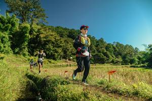 BIB: 
                            <button type="button" onclick="openModal(26701530)" class="btn btn-primary btn-sm float-right btn-popup" data-toggle="modal" data-target=".modal-high-quality">
                        <i class="fas fa-shopping-cart"></i> Add to Cart
                    </button>
                                            <button type="button" onclick="isThisMe(26701530, true)" class="btn btn-success btn-sm float-right btn-popup btn-isme hidden" data-toggle="tooltip" data-placement="bottom" title="นี่คือรูปของคุณใช่ไหม คลิกที่นี่เพื่อเอาเข้าอัลบั้ม">
                        <i class="fas fa-plus"></i> Add to album
                    </button>
                    <button type="button" onclick="isThisMe(26701530, false)" class="btn btn-warning btn-sm float-right btn-popup btn-isnotme hidden">
                        <i class="fas fa-ban"></i> Remove from album
                    </button>