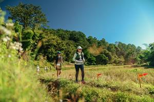 BIB: 
                            <button type="button" onclick="openModal(26694363)" class="btn btn-primary btn-sm float-right btn-popup" data-toggle="modal" data-target=".modal-high-quality">
                        <i class="fas fa-shopping-cart"></i> Add to Cart
                    </button>
                                            <button type="button" onclick="isThisMe(26694363, true)" class="btn btn-success btn-sm float-right btn-popup btn-isme hidden" data-toggle="tooltip" data-placement="bottom" title="นี่คือรูปของคุณใช่ไหม คลิกที่นี่เพื่อเอาเข้าอัลบั้ม">
                        <i class="fas fa-plus"></i> Add to album
                    </button>
                    <button type="button" onclick="isThisMe(26694363, false)" class="btn btn-warning btn-sm float-right btn-popup btn-isnotme hidden">
                        <i class="fas fa-ban"></i> Remove from album
                    </button>