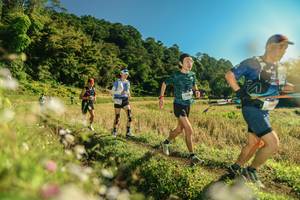 BIB: 
                            <button type="button" onclick="openModal(26638323)" class="btn btn-primary btn-sm float-right btn-popup" data-toggle="modal" data-target=".modal-high-quality">
                        <i class="fas fa-shopping-cart"></i> Add to Cart
                    </button>
                                            <button type="button" onclick="isThisMe(26638323, true)" class="btn btn-success btn-sm float-right btn-popup btn-isme hidden" data-toggle="tooltip" data-placement="bottom" title="นี่คือรูปของคุณใช่ไหม คลิกที่นี่เพื่อเอาเข้าอัลบั้ม">
                        <i class="fas fa-plus"></i> Add to album
                    </button>
                    <button type="button" onclick="isThisMe(26638323, false)" class="btn btn-warning btn-sm float-right btn-popup btn-isnotme hidden">
                        <i class="fas fa-ban"></i> Remove from album
                    </button>