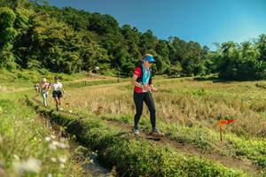 BIB: 
                            <button type="button" onclick="openModal(26702514)" class="btn btn-primary btn-sm float-right btn-popup" data-toggle="modal" data-target=".modal-high-quality">
                        <i class="fas fa-shopping-cart"></i> Add to Cart
                    </button>
                                            <button type="button" onclick="isThisMe(26702514, true)" class="btn btn-success btn-sm float-right btn-popup btn-isme hidden" data-toggle="tooltip" data-placement="bottom" title="นี่คือรูปของคุณใช่ไหม คลิกที่นี่เพื่อเอาเข้าอัลบั้ม">
                        <i class="fas fa-plus"></i> Add to album
                    </button>
                    <button type="button" onclick="isThisMe(26702514, false)" class="btn btn-warning btn-sm float-right btn-popup btn-isnotme hidden">
                        <i class="fas fa-ban"></i> Remove from album
                    </button>