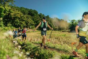 BIB: 
                            <button type="button" onclick="openModal(26700606)" class="btn btn-primary btn-sm float-right btn-popup" data-toggle="modal" data-target=".modal-high-quality">
                        <i class="fas fa-shopping-cart"></i> Add to Cart
                    </button>
                                            <button type="button" onclick="isThisMe(26700606, true)" class="btn btn-success btn-sm float-right btn-popup btn-isme hidden" data-toggle="tooltip" data-placement="bottom" title="นี่คือรูปของคุณใช่ไหม คลิกที่นี่เพื่อเอาเข้าอัลบั้ม">
                        <i class="fas fa-plus"></i> Add to album
                    </button>
                    <button type="button" onclick="isThisMe(26700606, false)" class="btn btn-warning btn-sm float-right btn-popup btn-isnotme hidden">
                        <i class="fas fa-ban"></i> Remove from album
                    </button>