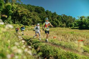 BIB: 
                            <button type="button" onclick="openModal(26723485)" class="btn btn-primary btn-sm float-right btn-popup" data-toggle="modal" data-target=".modal-high-quality">
                        <i class="fas fa-shopping-cart"></i> Add to Cart
                    </button>
                                            <button type="button" onclick="isThisMe(26723485, true)" class="btn btn-success btn-sm float-right btn-popup btn-isme hidden" data-toggle="tooltip" data-placement="bottom" title="นี่คือรูปของคุณใช่ไหม คลิกที่นี่เพื่อเอาเข้าอัลบั้ม">
                        <i class="fas fa-plus"></i> Add to album
                    </button>
                    <button type="button" onclick="isThisMe(26723485, false)" class="btn btn-warning btn-sm float-right btn-popup btn-isnotme hidden">
                        <i class="fas fa-ban"></i> Remove from album
                    </button>