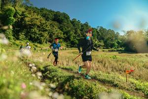 BIB: 
                            <button type="button" onclick="openModal(26679727)" class="btn btn-primary btn-sm float-right btn-popup" data-toggle="modal" data-target=".modal-high-quality">
                        <i class="fas fa-shopping-cart"></i> Add to Cart
                    </button>
                                            <button type="button" onclick="isThisMe(26679727, true)" class="btn btn-success btn-sm float-right btn-popup btn-isme hidden" data-toggle="tooltip" data-placement="bottom" title="นี่คือรูปของคุณใช่ไหม คลิกที่นี่เพื่อเอาเข้าอัลบั้ม">
                        <i class="fas fa-plus"></i> Add to album
                    </button>
                    <button type="button" onclick="isThisMe(26679727, false)" class="btn btn-warning btn-sm float-right btn-popup btn-isnotme hidden">
                        <i class="fas fa-ban"></i> Remove from album
                    </button>