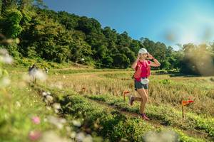 BIB: 
                            <button type="button" onclick="openModal(26638896)" class="btn btn-primary btn-sm float-right btn-popup" data-toggle="modal" data-target=".modal-high-quality">
                        <i class="fas fa-shopping-cart"></i> Add to Cart
                    </button>
                                            <button type="button" onclick="isThisMe(26638896, true)" class="btn btn-success btn-sm float-right btn-popup btn-isme hidden" data-toggle="tooltip" data-placement="bottom" title="นี่คือรูปของคุณใช่ไหม คลิกที่นี่เพื่อเอาเข้าอัลบั้ม">
                        <i class="fas fa-plus"></i> Add to album
                    </button>
                    <button type="button" onclick="isThisMe(26638896, false)" class="btn btn-warning btn-sm float-right btn-popup btn-isnotme hidden">
                        <i class="fas fa-ban"></i> Remove from album
                    </button>