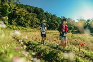 BIB: 
                            <button type="button" onclick="openModal(26636754)" class="btn btn-primary btn-sm float-right btn-popup" data-toggle="modal" data-target=".modal-high-quality">
                        <i class="fas fa-shopping-cart"></i> Add to Cart
                    </button>
                                            <button type="button" onclick="isThisMe(26636754, true)" class="btn btn-success btn-sm float-right btn-popup btn-isme hidden" data-toggle="tooltip" data-placement="bottom" title="นี่คือรูปของคุณใช่ไหม คลิกที่นี่เพื่อเอาเข้าอัลบั้ม">
                        <i class="fas fa-plus"></i> Add to album
                    </button>
                    <button type="button" onclick="isThisMe(26636754, false)" class="btn btn-warning btn-sm float-right btn-popup btn-isnotme hidden">
                        <i class="fas fa-ban"></i> Remove from album
                    </button>