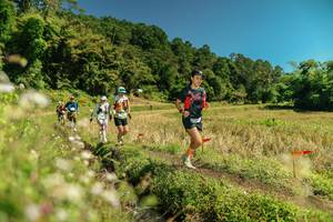 BIB: 
                            <button type="button" onclick="openModal(26723482)" class="btn btn-primary btn-sm float-right btn-popup" data-toggle="modal" data-target=".modal-high-quality">
                        <i class="fas fa-shopping-cart"></i> Add to Cart
                    </button>
                                            <button type="button" onclick="isThisMe(26723482, true)" class="btn btn-success btn-sm float-right btn-popup btn-isme hidden" data-toggle="tooltip" data-placement="bottom" title="นี่คือรูปของคุณใช่ไหม คลิกที่นี่เพื่อเอาเข้าอัลบั้ม">
                        <i class="fas fa-plus"></i> Add to album
                    </button>
                    <button type="button" onclick="isThisMe(26723482, false)" class="btn btn-warning btn-sm float-right btn-popup btn-isnotme hidden">
                        <i class="fas fa-ban"></i> Remove from album
                    </button>