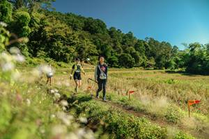 BIB: 
                            <button type="button" onclick="openModal(26710482)" class="btn btn-primary btn-sm float-right btn-popup" data-toggle="modal" data-target=".modal-high-quality">
                        <i class="fas fa-shopping-cart"></i> Add to Cart
                    </button>
                                            <button type="button" onclick="isThisMe(26710482, true)" class="btn btn-success btn-sm float-right btn-popup btn-isme hidden" data-toggle="tooltip" data-placement="bottom" title="นี่คือรูปของคุณใช่ไหม คลิกที่นี่เพื่อเอาเข้าอัลบั้ม">
                        <i class="fas fa-plus"></i> Add to album
                    </button>
                    <button type="button" onclick="isThisMe(26710482, false)" class="btn btn-warning btn-sm float-right btn-popup btn-isnotme hidden">
                        <i class="fas fa-ban"></i> Remove from album
                    </button>