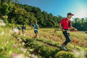 BIB: 
                            <button type="button" onclick="openModal(26637199)" class="btn btn-primary btn-sm float-right btn-popup" data-toggle="modal" data-target=".modal-high-quality">
                        <i class="fas fa-shopping-cart"></i> Add to Cart
                    </button>
                                            <button type="button" onclick="isThisMe(26637199, true)" class="btn btn-success btn-sm float-right btn-popup btn-isme hidden" data-toggle="tooltip" data-placement="bottom" title="นี่คือรูปของคุณใช่ไหม คลิกที่นี่เพื่อเอาเข้าอัลบั้ม">
                        <i class="fas fa-plus"></i> Add to album
                    </button>
                    <button type="button" onclick="isThisMe(26637199, false)" class="btn btn-warning btn-sm float-right btn-popup btn-isnotme hidden">
                        <i class="fas fa-ban"></i> Remove from album
                    </button>