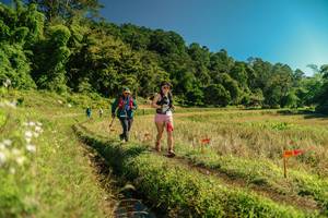 BIB: 
                            <button type="button" onclick="openModal(26694566)" class="btn btn-primary btn-sm float-right btn-popup" data-toggle="modal" data-target=".modal-high-quality">
                        <i class="fas fa-shopping-cart"></i> Add to Cart
                    </button>
                                            <button type="button" onclick="isThisMe(26694566, true)" class="btn btn-success btn-sm float-right btn-popup btn-isme hidden" data-toggle="tooltip" data-placement="bottom" title="นี่คือรูปของคุณใช่ไหม คลิกที่นี่เพื่อเอาเข้าอัลบั้ม">
                        <i class="fas fa-plus"></i> Add to album
                    </button>
                    <button type="button" onclick="isThisMe(26694566, false)" class="btn btn-warning btn-sm float-right btn-popup btn-isnotme hidden">
                        <i class="fas fa-ban"></i> Remove from album
                    </button>