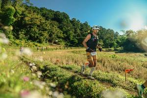 BIB: 
                            <button type="button" onclick="openModal(26637666)" class="btn btn-primary btn-sm float-right btn-popup" data-toggle="modal" data-target=".modal-high-quality">
                        <i class="fas fa-shopping-cart"></i> Add to Cart
                    </button>
                                            <button type="button" onclick="isThisMe(26637666, true)" class="btn btn-success btn-sm float-right btn-popup btn-isme hidden" data-toggle="tooltip" data-placement="bottom" title="นี่คือรูปของคุณใช่ไหม คลิกที่นี่เพื่อเอาเข้าอัลบั้ม">
                        <i class="fas fa-plus"></i> Add to album
                    </button>
                    <button type="button" onclick="isThisMe(26637666, false)" class="btn btn-warning btn-sm float-right btn-popup btn-isnotme hidden">
                        <i class="fas fa-ban"></i> Remove from album
                    </button>