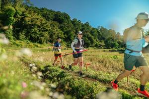 BIB: 
                            <button type="button" onclick="openModal(26675265)" class="btn btn-primary btn-sm float-right btn-popup" data-toggle="modal" data-target=".modal-high-quality">
                        <i class="fas fa-shopping-cart"></i> Add to Cart
                    </button>
                                            <button type="button" onclick="isThisMe(26675265, true)" class="btn btn-success btn-sm float-right btn-popup btn-isme hidden" data-toggle="tooltip" data-placement="bottom" title="นี่คือรูปของคุณใช่ไหม คลิกที่นี่เพื่อเอาเข้าอัลบั้ม">
                        <i class="fas fa-plus"></i> Add to album
                    </button>
                    <button type="button" onclick="isThisMe(26675265, false)" class="btn btn-warning btn-sm float-right btn-popup btn-isnotme hidden">
                        <i class="fas fa-ban"></i> Remove from album
                    </button>