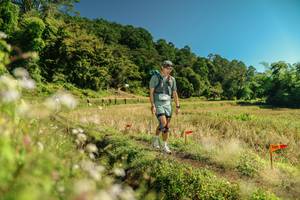 BIB: 
                            <button type="button" onclick="openModal(26706689)" class="btn btn-primary btn-sm float-right btn-popup" data-toggle="modal" data-target=".modal-high-quality">
                        <i class="fas fa-shopping-cart"></i> Add to Cart
                    </button>
                                            <button type="button" onclick="isThisMe(26706689, true)" class="btn btn-success btn-sm float-right btn-popup btn-isme hidden" data-toggle="tooltip" data-placement="bottom" title="นี่คือรูปของคุณใช่ไหม คลิกที่นี่เพื่อเอาเข้าอัลบั้ม">
                        <i class="fas fa-plus"></i> Add to album
                    </button>
                    <button type="button" onclick="isThisMe(26706689, false)" class="btn btn-warning btn-sm float-right btn-popup btn-isnotme hidden">
                        <i class="fas fa-ban"></i> Remove from album
                    </button>