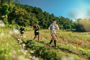 BIB: 
                            <button type="button" onclick="openModal(26679668)" class="btn btn-primary btn-sm float-right btn-popup" data-toggle="modal" data-target=".modal-high-quality">
                        <i class="fas fa-shopping-cart"></i> Add to Cart
                    </button>
                                            <button type="button" onclick="isThisMe(26679668, true)" class="btn btn-success btn-sm float-right btn-popup btn-isme hidden" data-toggle="tooltip" data-placement="bottom" title="นี่คือรูปของคุณใช่ไหม คลิกที่นี่เพื่อเอาเข้าอัลบั้ม">
                        <i class="fas fa-plus"></i> Add to album
                    </button>
                    <button type="button" onclick="isThisMe(26679668, false)" class="btn btn-warning btn-sm float-right btn-popup btn-isnotme hidden">
                        <i class="fas fa-ban"></i> Remove from album
                    </button>