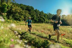 BIB: 
                            <button type="button" onclick="openModal(26638567)" class="btn btn-primary btn-sm float-right btn-popup" data-toggle="modal" data-target=".modal-high-quality">
                        <i class="fas fa-shopping-cart"></i> Add to Cart
                    </button>
                                            <button type="button" onclick="isThisMe(26638567, true)" class="btn btn-success btn-sm float-right btn-popup btn-isme hidden" data-toggle="tooltip" data-placement="bottom" title="นี่คือรูปของคุณใช่ไหม คลิกที่นี่เพื่อเอาเข้าอัลบั้ม">
                        <i class="fas fa-plus"></i> Add to album
                    </button>
                    <button type="button" onclick="isThisMe(26638567, false)" class="btn btn-warning btn-sm float-right btn-popup btn-isnotme hidden">
                        <i class="fas fa-ban"></i> Remove from album
                    </button>