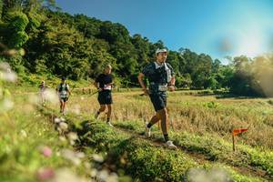 BIB: 
                            <button type="button" onclick="openModal(26638495)" class="btn btn-primary btn-sm float-right btn-popup" data-toggle="modal" data-target=".modal-high-quality">
                        <i class="fas fa-shopping-cart"></i> Add to Cart
                    </button>
                                            <button type="button" onclick="isThisMe(26638495, true)" class="btn btn-success btn-sm float-right btn-popup btn-isme hidden" data-toggle="tooltip" data-placement="bottom" title="นี่คือรูปของคุณใช่ไหม คลิกที่นี่เพื่อเอาเข้าอัลบั้ม">
                        <i class="fas fa-plus"></i> Add to album
                    </button>
                    <button type="button" onclick="isThisMe(26638495, false)" class="btn btn-warning btn-sm float-right btn-popup btn-isnotme hidden">
                        <i class="fas fa-ban"></i> Remove from album
                    </button>