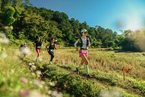 BIB: 
                            <button type="button" onclick="openModal(26638481)" class="btn btn-primary btn-sm float-right btn-popup" data-toggle="modal" data-target=".modal-high-quality">
                        <i class="fas fa-shopping-cart"></i> Add to Cart
                    </button>
                                            <button type="button" onclick="isThisMe(26638481, true)" class="btn btn-success btn-sm float-right btn-popup btn-isme hidden" data-toggle="tooltip" data-placement="bottom" title="นี่คือรูปของคุณใช่ไหม คลิกที่นี่เพื่อเอาเข้าอัลบั้ม">
                        <i class="fas fa-plus"></i> Add to album
                    </button>
                    <button type="button" onclick="isThisMe(26638481, false)" class="btn btn-warning btn-sm float-right btn-popup btn-isnotme hidden">
                        <i class="fas fa-ban"></i> Remove from album
                    </button>