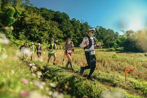 BIB: 
                            <button type="button" onclick="openModal(26638406)" class="btn btn-primary btn-sm float-right btn-popup" data-toggle="modal" data-target=".modal-high-quality">
                        <i class="fas fa-shopping-cart"></i> Add to Cart
                    </button>
                                            <button type="button" onclick="isThisMe(26638406, true)" class="btn btn-success btn-sm float-right btn-popup btn-isme hidden" data-toggle="tooltip" data-placement="bottom" title="นี่คือรูปของคุณใช่ไหม คลิกที่นี่เพื่อเอาเข้าอัลบั้ม">
                        <i class="fas fa-plus"></i> Add to album
                    </button>
                    <button type="button" onclick="isThisMe(26638406, false)" class="btn btn-warning btn-sm float-right btn-popup btn-isnotme hidden">
                        <i class="fas fa-ban"></i> Remove from album
                    </button>