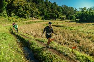 BIB: 
                            <button type="button" onclick="openModal(26692744)" class="btn btn-primary btn-sm float-right btn-popup" data-toggle="modal" data-target=".modal-high-quality">
                        <i class="fas fa-shopping-cart"></i> Add to Cart
                    </button>
                                            <button type="button" onclick="isThisMe(26692744, true)" class="btn btn-success btn-sm float-right btn-popup btn-isme hidden" data-toggle="tooltip" data-placement="bottom" title="นี่คือรูปของคุณใช่ไหม คลิกที่นี่เพื่อเอาเข้าอัลบั้ม">
                        <i class="fas fa-plus"></i> Add to album
                    </button>
                    <button type="button" onclick="isThisMe(26692744, false)" class="btn btn-warning btn-sm float-right btn-popup btn-isnotme hidden">
                        <i class="fas fa-ban"></i> Remove from album
                    </button>