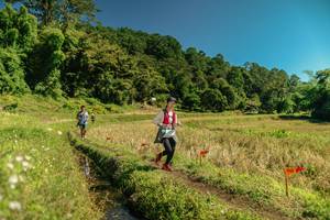 BIB: 
                            <button type="button" onclick="openModal(26715024)" class="btn btn-primary btn-sm float-right btn-popup" data-toggle="modal" data-target=".modal-high-quality">
                        <i class="fas fa-shopping-cart"></i> Add to Cart
                    </button>
                                            <button type="button" onclick="isThisMe(26715024, true)" class="btn btn-success btn-sm float-right btn-popup btn-isme hidden" data-toggle="tooltip" data-placement="bottom" title="นี่คือรูปของคุณใช่ไหม คลิกที่นี่เพื่อเอาเข้าอัลบั้ม">
                        <i class="fas fa-plus"></i> Add to album
                    </button>
                    <button type="button" onclick="isThisMe(26715024, false)" class="btn btn-warning btn-sm float-right btn-popup btn-isnotme hidden">
                        <i class="fas fa-ban"></i> Remove from album
                    </button>