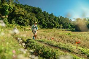 BIB: 
                            <button type="button" onclick="openModal(26682379)" class="btn btn-primary btn-sm float-right btn-popup" data-toggle="modal" data-target=".modal-high-quality">
                        <i class="fas fa-shopping-cart"></i> Add to Cart
                    </button>
                                            <button type="button" onclick="isThisMe(26682379, true)" class="btn btn-success btn-sm float-right btn-popup btn-isme hidden" data-toggle="tooltip" data-placement="bottom" title="นี่คือรูปของคุณใช่ไหม คลิกที่นี่เพื่อเอาเข้าอัลบั้ม">
                        <i class="fas fa-plus"></i> Add to album
                    </button>
                    <button type="button" onclick="isThisMe(26682379, false)" class="btn btn-warning btn-sm float-right btn-popup btn-isnotme hidden">
                        <i class="fas fa-ban"></i> Remove from album
                    </button>