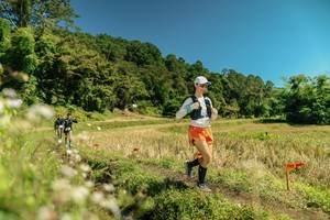 BIB: 
                            <button type="button" onclick="openModal(26733272)" class="btn btn-primary btn-sm float-right btn-popup" data-toggle="modal" data-target=".modal-high-quality">
                        <i class="fas fa-shopping-cart"></i> Add to Cart
                    </button>
                                            <button type="button" onclick="isThisMe(26733272, true)" class="btn btn-success btn-sm float-right btn-popup btn-isme hidden" data-toggle="tooltip" data-placement="bottom" title="นี่คือรูปของคุณใช่ไหม คลิกที่นี่เพื่อเอาเข้าอัลบั้ม">
                        <i class="fas fa-plus"></i> Add to album
                    </button>
                    <button type="button" onclick="isThisMe(26733272, false)" class="btn btn-warning btn-sm float-right btn-popup btn-isnotme hidden">
                        <i class="fas fa-ban"></i> Remove from album
                    </button>