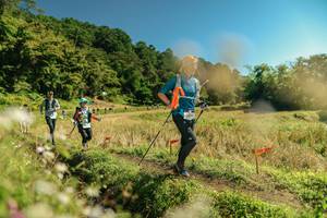 BIB: 
                            <button type="button" onclick="openModal(26701110)" class="btn btn-primary btn-sm float-right btn-popup" data-toggle="modal" data-target=".modal-high-quality">
                        <i class="fas fa-shopping-cart"></i> Add to Cart
                    </button>
                                            <button type="button" onclick="isThisMe(26701110, true)" class="btn btn-success btn-sm float-right btn-popup btn-isme hidden" data-toggle="tooltip" data-placement="bottom" title="นี่คือรูปของคุณใช่ไหม คลิกที่นี่เพื่อเอาเข้าอัลบั้ม">
                        <i class="fas fa-plus"></i> Add to album
                    </button>
                    <button type="button" onclick="isThisMe(26701110, false)" class="btn btn-warning btn-sm float-right btn-popup btn-isnotme hidden">
                        <i class="fas fa-ban"></i> Remove from album
                    </button>