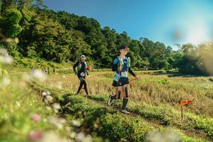 BIB: 
                            <button type="button" onclick="openModal(26638290)" class="btn btn-primary btn-sm float-right btn-popup" data-toggle="modal" data-target=".modal-high-quality">
                        <i class="fas fa-shopping-cart"></i> Add to Cart
                    </button>
                                            <button type="button" onclick="isThisMe(26638290, true)" class="btn btn-success btn-sm float-right btn-popup btn-isme hidden" data-toggle="tooltip" data-placement="bottom" title="นี่คือรูปของคุณใช่ไหม คลิกที่นี่เพื่อเอาเข้าอัลบั้ม">
                        <i class="fas fa-plus"></i> Add to album
                    </button>
                    <button type="button" onclick="isThisMe(26638290, false)" class="btn btn-warning btn-sm float-right btn-popup btn-isnotme hidden">
                        <i class="fas fa-ban"></i> Remove from album
                    </button>