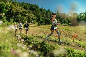 BIB: 
                            <button type="button" onclick="openModal(26697913)" class="btn btn-primary btn-sm float-right btn-popup" data-toggle="modal" data-target=".modal-high-quality">
                        <i class="fas fa-shopping-cart"></i> Add to Cart
                    </button>
                                            <button type="button" onclick="isThisMe(26697913, true)" class="btn btn-success btn-sm float-right btn-popup btn-isme hidden" data-toggle="tooltip" data-placement="bottom" title="นี่คือรูปของคุณใช่ไหม คลิกที่นี่เพื่อเอาเข้าอัลบั้ม">
                        <i class="fas fa-plus"></i> Add to album
                    </button>
                    <button type="button" onclick="isThisMe(26697913, false)" class="btn btn-warning btn-sm float-right btn-popup btn-isnotme hidden">
                        <i class="fas fa-ban"></i> Remove from album
                    </button>