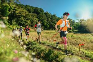 BIB: 
                            <button type="button" onclick="openModal(26638391)" class="btn btn-primary btn-sm float-right btn-popup" data-toggle="modal" data-target=".modal-high-quality">
                        <i class="fas fa-shopping-cart"></i> Add to Cart
                    </button>
                                            <button type="button" onclick="isThisMe(26638391, true)" class="btn btn-success btn-sm float-right btn-popup btn-isme hidden" data-toggle="tooltip" data-placement="bottom" title="นี่คือรูปของคุณใช่ไหม คลิกที่นี่เพื่อเอาเข้าอัลบั้ม">
                        <i class="fas fa-plus"></i> Add to album
                    </button>
                    <button type="button" onclick="isThisMe(26638391, false)" class="btn btn-warning btn-sm float-right btn-popup btn-isnotme hidden">
                        <i class="fas fa-ban"></i> Remove from album
                    </button>