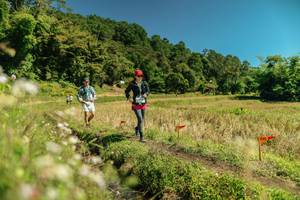 BIB: 
                            <button type="button" onclick="openModal(26729828)" class="btn btn-primary btn-sm float-right btn-popup" data-toggle="modal" data-target=".modal-high-quality">
                        <i class="fas fa-shopping-cart"></i> Add to Cart
                    </button>
                                            <button type="button" onclick="isThisMe(26729828, true)" class="btn btn-success btn-sm float-right btn-popup btn-isme hidden" data-toggle="tooltip" data-placement="bottom" title="นี่คือรูปของคุณใช่ไหม คลิกที่นี่เพื่อเอาเข้าอัลบั้ม">
                        <i class="fas fa-plus"></i> Add to album
                    </button>
                    <button type="button" onclick="isThisMe(26729828, false)" class="btn btn-warning btn-sm float-right btn-popup btn-isnotme hidden">
                        <i class="fas fa-ban"></i> Remove from album
                    </button>