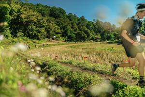 BIB: 
                            <button type="button" onclick="openModal(26699104)" class="btn btn-primary btn-sm float-right btn-popup" data-toggle="modal" data-target=".modal-high-quality">
                        <i class="fas fa-shopping-cart"></i> Add to Cart
                    </button>
                                            <button type="button" onclick="isThisMe(26699104, true)" class="btn btn-success btn-sm float-right btn-popup btn-isme hidden" data-toggle="tooltip" data-placement="bottom" title="นี่คือรูปของคุณใช่ไหม คลิกที่นี่เพื่อเอาเข้าอัลบั้ม">
                        <i class="fas fa-plus"></i> Add to album
                    </button>
                    <button type="button" onclick="isThisMe(26699104, false)" class="btn btn-warning btn-sm float-right btn-popup btn-isnotme hidden">
                        <i class="fas fa-ban"></i> Remove from album
                    </button>