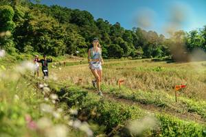 BIB: 
                            <button type="button" onclick="openModal(26698353)" class="btn btn-primary btn-sm float-right btn-popup" data-toggle="modal" data-target=".modal-high-quality">
                        <i class="fas fa-shopping-cart"></i> Add to Cart
                    </button>
                                            <button type="button" onclick="isThisMe(26698353, true)" class="btn btn-success btn-sm float-right btn-popup btn-isme hidden" data-toggle="tooltip" data-placement="bottom" title="นี่คือรูปของคุณใช่ไหม คลิกที่นี่เพื่อเอาเข้าอัลบั้ม">
                        <i class="fas fa-plus"></i> Add to album
                    </button>
                    <button type="button" onclick="isThisMe(26698353, false)" class="btn btn-warning btn-sm float-right btn-popup btn-isnotme hidden">
                        <i class="fas fa-ban"></i> Remove from album
                    </button>