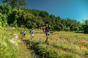 BIB: 
                            <button type="button" onclick="openModal(26717199)" class="btn btn-primary btn-sm float-right btn-popup" data-toggle="modal" data-target=".modal-high-quality">
                        <i class="fas fa-shopping-cart"></i> Add to Cart
                    </button>
                                            <button type="button" onclick="isThisMe(26717199, true)" class="btn btn-success btn-sm float-right btn-popup btn-isme hidden" data-toggle="tooltip" data-placement="bottom" title="นี่คือรูปของคุณใช่ไหม คลิกที่นี่เพื่อเอาเข้าอัลบั้ม">
                        <i class="fas fa-plus"></i> Add to album
                    </button>
                    <button type="button" onclick="isThisMe(26717199, false)" class="btn btn-warning btn-sm float-right btn-popup btn-isnotme hidden">
                        <i class="fas fa-ban"></i> Remove from album
                    </button>