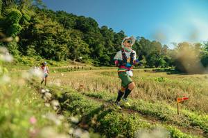 BIB: 
                            <button type="button" onclick="openModal(26681393)" class="btn btn-primary btn-sm float-right btn-popup" data-toggle="modal" data-target=".modal-high-quality">
                        <i class="fas fa-shopping-cart"></i> Add to Cart
                    </button>
                                            <button type="button" onclick="isThisMe(26681393, true)" class="btn btn-success btn-sm float-right btn-popup btn-isme hidden" data-toggle="tooltip" data-placement="bottom" title="นี่คือรูปของคุณใช่ไหม คลิกที่นี่เพื่อเอาเข้าอัลบั้ม">
                        <i class="fas fa-plus"></i> Add to album
                    </button>
                    <button type="button" onclick="isThisMe(26681393, false)" class="btn btn-warning btn-sm float-right btn-popup btn-isnotme hidden">
                        <i class="fas fa-ban"></i> Remove from album
                    </button>