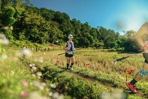 BIB: 
                            <button type="button" onclick="openModal(26638956)" class="btn btn-primary btn-sm float-right btn-popup" data-toggle="modal" data-target=".modal-high-quality">
                        <i class="fas fa-shopping-cart"></i> Add to Cart
                    </button>
                                            <button type="button" onclick="isThisMe(26638956, true)" class="btn btn-success btn-sm float-right btn-popup btn-isme hidden" data-toggle="tooltip" data-placement="bottom" title="นี่คือรูปของคุณใช่ไหม คลิกที่นี่เพื่อเอาเข้าอัลบั้ม">
                        <i class="fas fa-plus"></i> Add to album
                    </button>
                    <button type="button" onclick="isThisMe(26638956, false)" class="btn btn-warning btn-sm float-right btn-popup btn-isnotme hidden">
                        <i class="fas fa-ban"></i> Remove from album
                    </button>