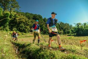 BIB: 
                            <button type="button" onclick="openModal(26701241)" class="btn btn-primary btn-sm float-right btn-popup" data-toggle="modal" data-target=".modal-high-quality">
                        <i class="fas fa-shopping-cart"></i> Add to Cart
                    </button>
                                            <button type="button" onclick="isThisMe(26701241, true)" class="btn btn-success btn-sm float-right btn-popup btn-isme hidden" data-toggle="tooltip" data-placement="bottom" title="นี่คือรูปของคุณใช่ไหม คลิกที่นี่เพื่อเอาเข้าอัลบั้ม">
                        <i class="fas fa-plus"></i> Add to album
                    </button>
                    <button type="button" onclick="isThisMe(26701241, false)" class="btn btn-warning btn-sm float-right btn-popup btn-isnotme hidden">
                        <i class="fas fa-ban"></i> Remove from album
                    </button>