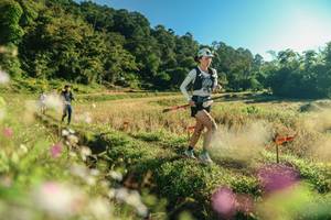 BIB: 
                            <button type="button" onclick="openModal(26634193)" class="btn btn-primary btn-sm float-right btn-popup" data-toggle="modal" data-target=".modal-high-quality">
                        <i class="fas fa-shopping-cart"></i> Add to Cart
                    </button>
                                            <button type="button" onclick="isThisMe(26634193, true)" class="btn btn-success btn-sm float-right btn-popup btn-isme hidden" data-toggle="tooltip" data-placement="bottom" title="นี่คือรูปของคุณใช่ไหม คลิกที่นี่เพื่อเอาเข้าอัลบั้ม">
                        <i class="fas fa-plus"></i> Add to album
                    </button>
                    <button type="button" onclick="isThisMe(26634193, false)" class="btn btn-warning btn-sm float-right btn-popup btn-isnotme hidden">
                        <i class="fas fa-ban"></i> Remove from album
                    </button>