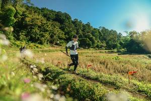 BIB: 
                            <button type="button" onclick="openModal(26637465)" class="btn btn-primary btn-sm float-right btn-popup" data-toggle="modal" data-target=".modal-high-quality">
                        <i class="fas fa-shopping-cart"></i> Add to Cart
                    </button>
                                            <button type="button" onclick="isThisMe(26637465, true)" class="btn btn-success btn-sm float-right btn-popup btn-isme hidden" data-toggle="tooltip" data-placement="bottom" title="นี่คือรูปของคุณใช่ไหม คลิกที่นี่เพื่อเอาเข้าอัลบั้ม">
                        <i class="fas fa-plus"></i> Add to album
                    </button>
                    <button type="button" onclick="isThisMe(26637465, false)" class="btn btn-warning btn-sm float-right btn-popup btn-isnotme hidden">
                        <i class="fas fa-ban"></i> Remove from album
                    </button>