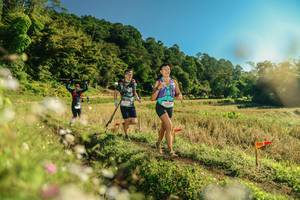 BIB: 
                            <button type="button" onclick="openModal(26638707)" class="btn btn-primary btn-sm float-right btn-popup" data-toggle="modal" data-target=".modal-high-quality">
                        <i class="fas fa-shopping-cart"></i> Add to Cart
                    </button>
                                            <button type="button" onclick="isThisMe(26638707, true)" class="btn btn-success btn-sm float-right btn-popup btn-isme hidden" data-toggle="tooltip" data-placement="bottom" title="นี่คือรูปของคุณใช่ไหม คลิกที่นี่เพื่อเอาเข้าอัลบั้ม">
                        <i class="fas fa-plus"></i> Add to album
                    </button>
                    <button type="button" onclick="isThisMe(26638707, false)" class="btn btn-warning btn-sm float-right btn-popup btn-isnotme hidden">
                        <i class="fas fa-ban"></i> Remove from album
                    </button>