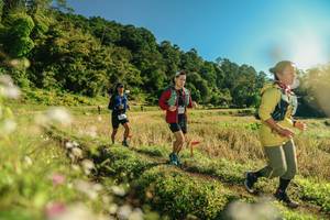 BIB: 
                            <button type="button" onclick="openModal(26637940)" class="btn btn-primary btn-sm float-right btn-popup" data-toggle="modal" data-target=".modal-high-quality">
                        <i class="fas fa-shopping-cart"></i> Add to Cart
                    </button>
                                            <button type="button" onclick="isThisMe(26637940, true)" class="btn btn-success btn-sm float-right btn-popup btn-isme hidden" data-toggle="tooltip" data-placement="bottom" title="นี่คือรูปของคุณใช่ไหม คลิกที่นี่เพื่อเอาเข้าอัลบั้ม">
                        <i class="fas fa-plus"></i> Add to album
                    </button>
                    <button type="button" onclick="isThisMe(26637940, false)" class="btn btn-warning btn-sm float-right btn-popup btn-isnotme hidden">
                        <i class="fas fa-ban"></i> Remove from album
                    </button>