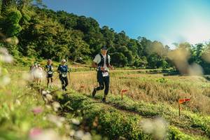 BIB: 
                            <button type="button" onclick="openModal(26637003)" class="btn btn-primary btn-sm float-right btn-popup" data-toggle="modal" data-target=".modal-high-quality">
                        <i class="fas fa-shopping-cart"></i> Add to Cart
                    </button>
                                            <button type="button" onclick="isThisMe(26637003, true)" class="btn btn-success btn-sm float-right btn-popup btn-isme hidden" data-toggle="tooltip" data-placement="bottom" title="นี่คือรูปของคุณใช่ไหม คลิกที่นี่เพื่อเอาเข้าอัลบั้ม">
                        <i class="fas fa-plus"></i> Add to album
                    </button>
                    <button type="button" onclick="isThisMe(26637003, false)" class="btn btn-warning btn-sm float-right btn-popup btn-isnotme hidden">
                        <i class="fas fa-ban"></i> Remove from album
                    </button>